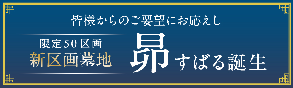 昴（すばる）誕生